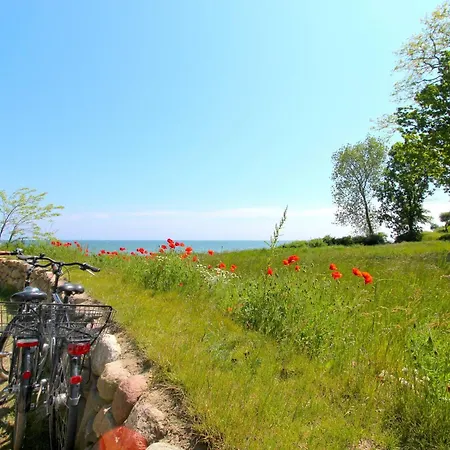 شقة Rex Rugia Fewo12-8 Mit Schwimmbad Und Saunanutzung Im Ahoi-erlebnisbad Sellin لوبه