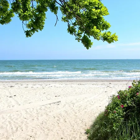 Apartment Rex Rugia Fewo12-8 Strandnah,balkon,sauna,pool Lobbe